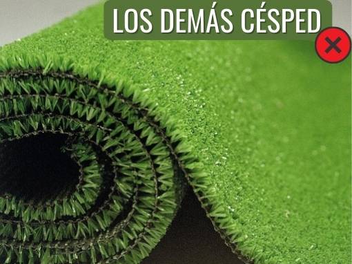 los-demas-cesped los-demas-cesped