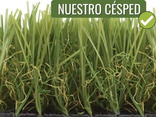 nuestro-CESPED